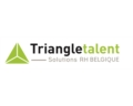Logo Triangle Talent